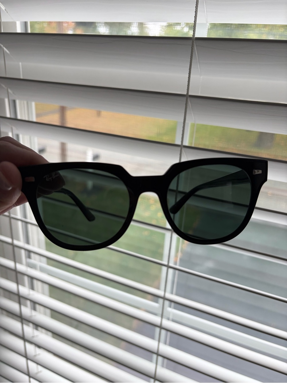 Ray-Ban Black Frame Sunglasses with Green Lenses